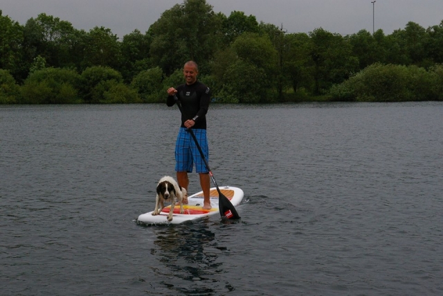  Los perros también pueden hacer paddle board 